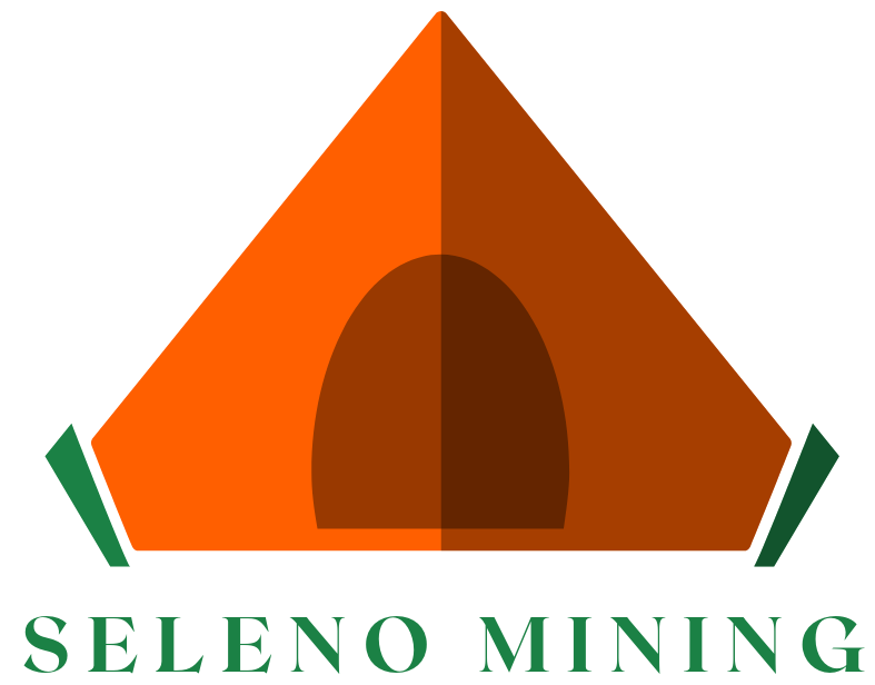 SELENO MINING (SHENZHEN) LTD