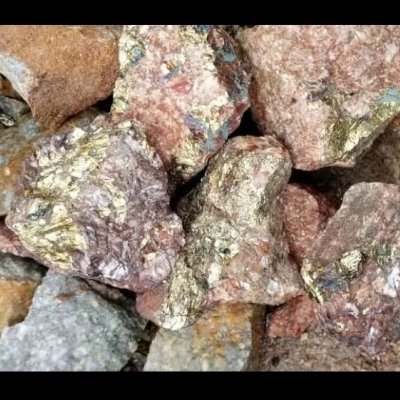 Large gold deposits are expected to be found in the West Kunlun region