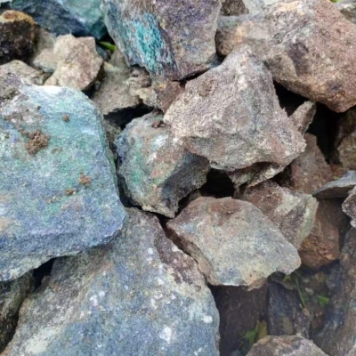 A new round of strategic action symposium on mineral exploration breakthroughs in Xinjiang was held