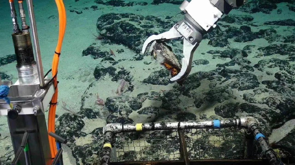 Election of a new Secretary-General of the International Seabed Authority