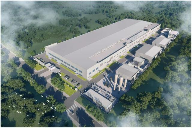 Bertram's Accelerated Globalisation of Production Capacity and Market Share