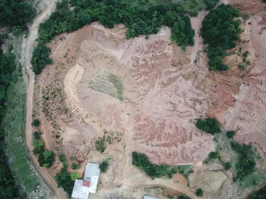 Ecological restoration of abandoned rare earth mines in Yingde adopts the 