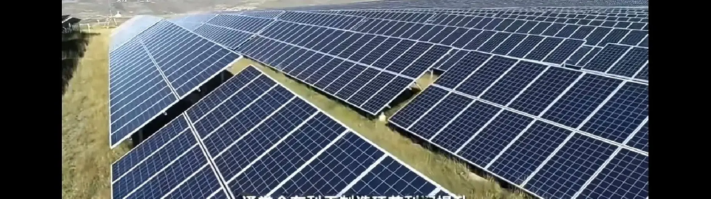 Sino-Belgium New Energy deepens globalisation